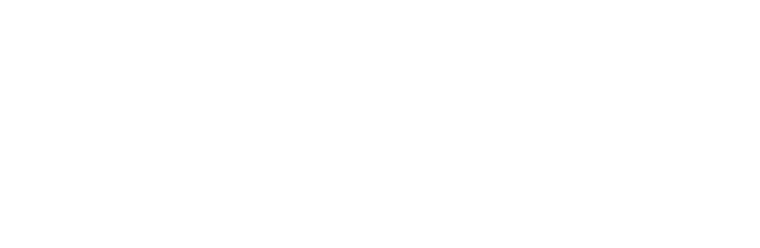 Oracle Red Bull Racing - 20th Season Logo